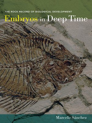 cover image of Embryos in Deep Time